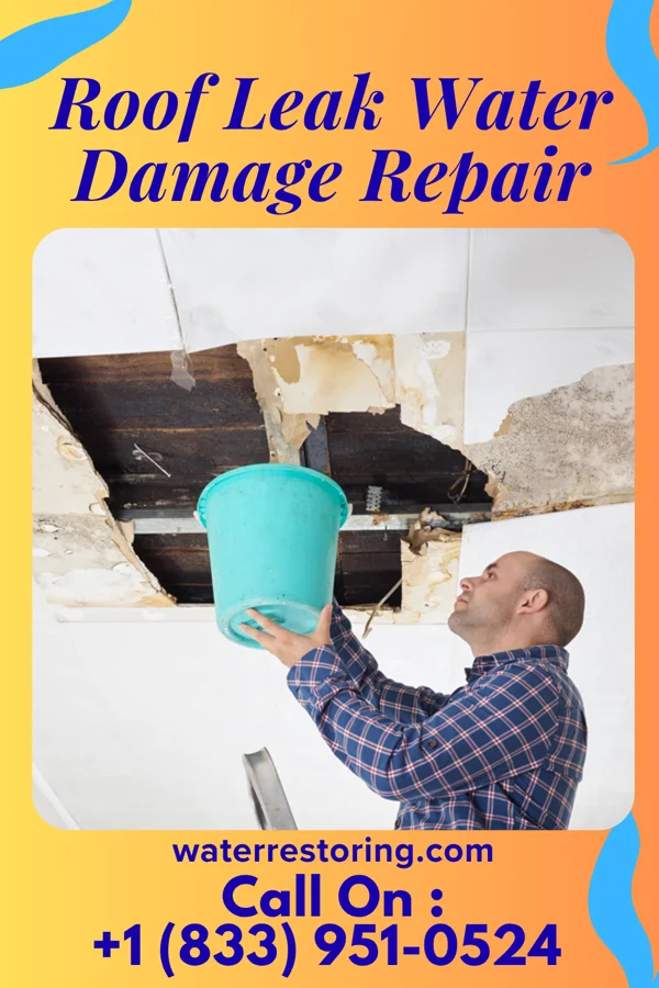 Roof Leak Water Damage Repair in Warwick, OK
